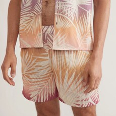 Marine Layer Printed Mesh Short 6"