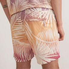 Marine Layer Printed Mesh Short 6"