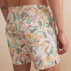 Marine Layer Stretch Swim Trunk 6"