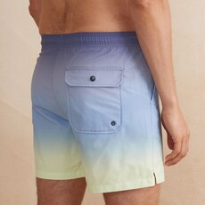 Marine Layer Stretch Swim Trunk 6"
