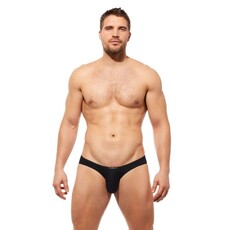 Gregg Homme Yoga Brief 190403