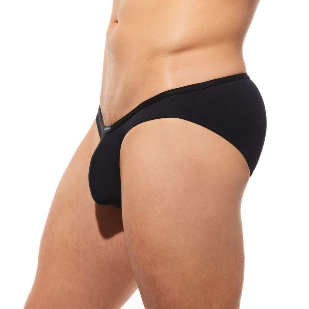 Gregg Homme Yoga Brief 190403
