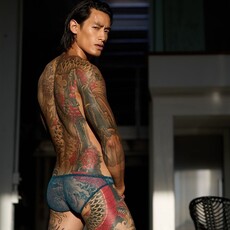 Gregg Homme Dragonfly Brief
