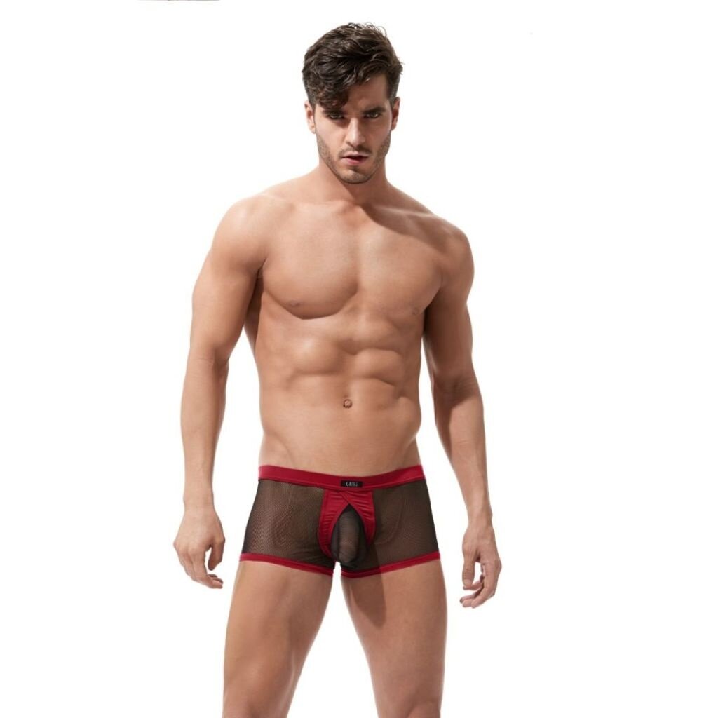 Gregg Homme X Rated Maximiser Boxer Brief 85005