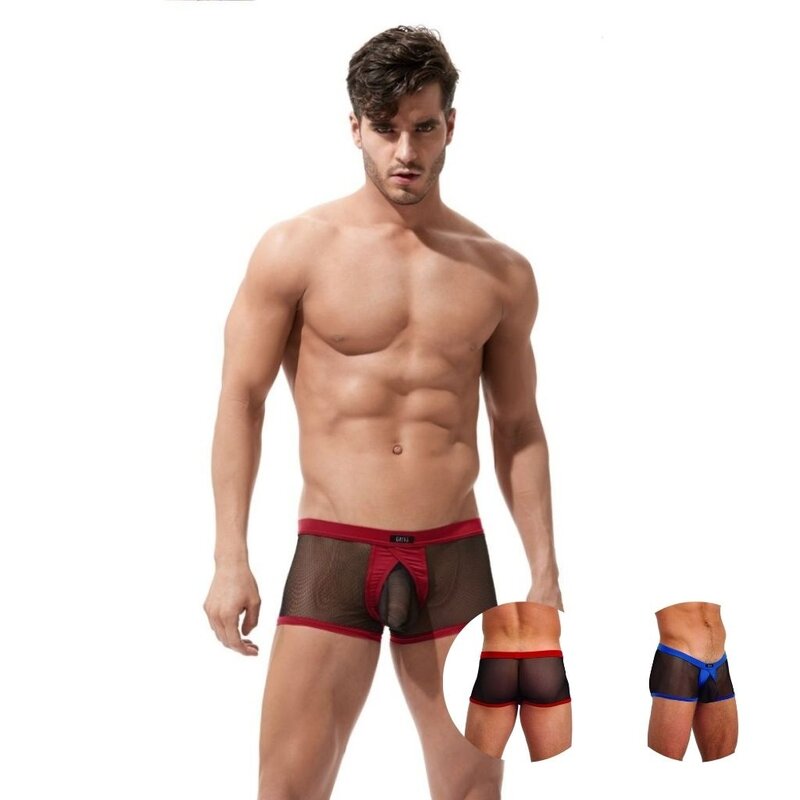 Gregg Homme X Rated Maximiser Boxer Brief