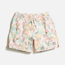 Marine Layer Stretch Swim Trunk 6"
