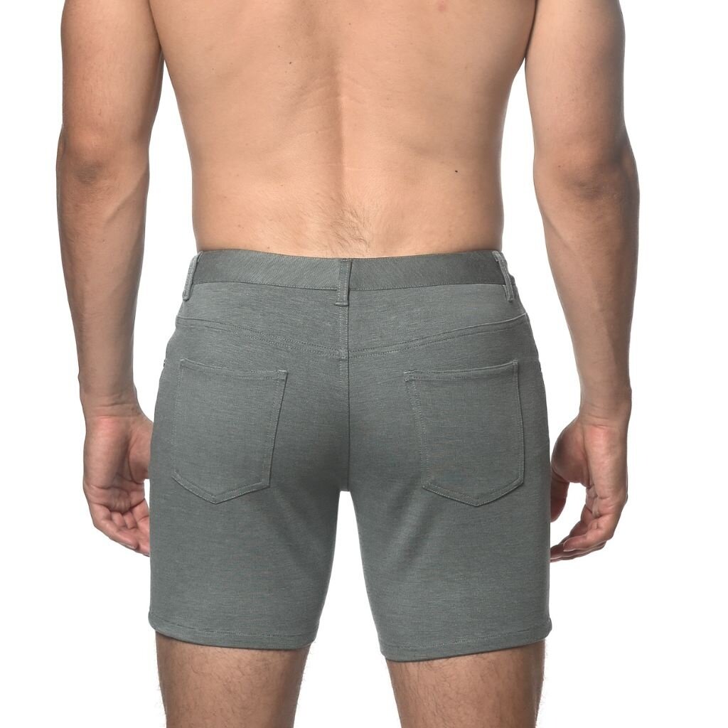 ST33LE (Steele) SP25 ST 1932 Cactus Shorts