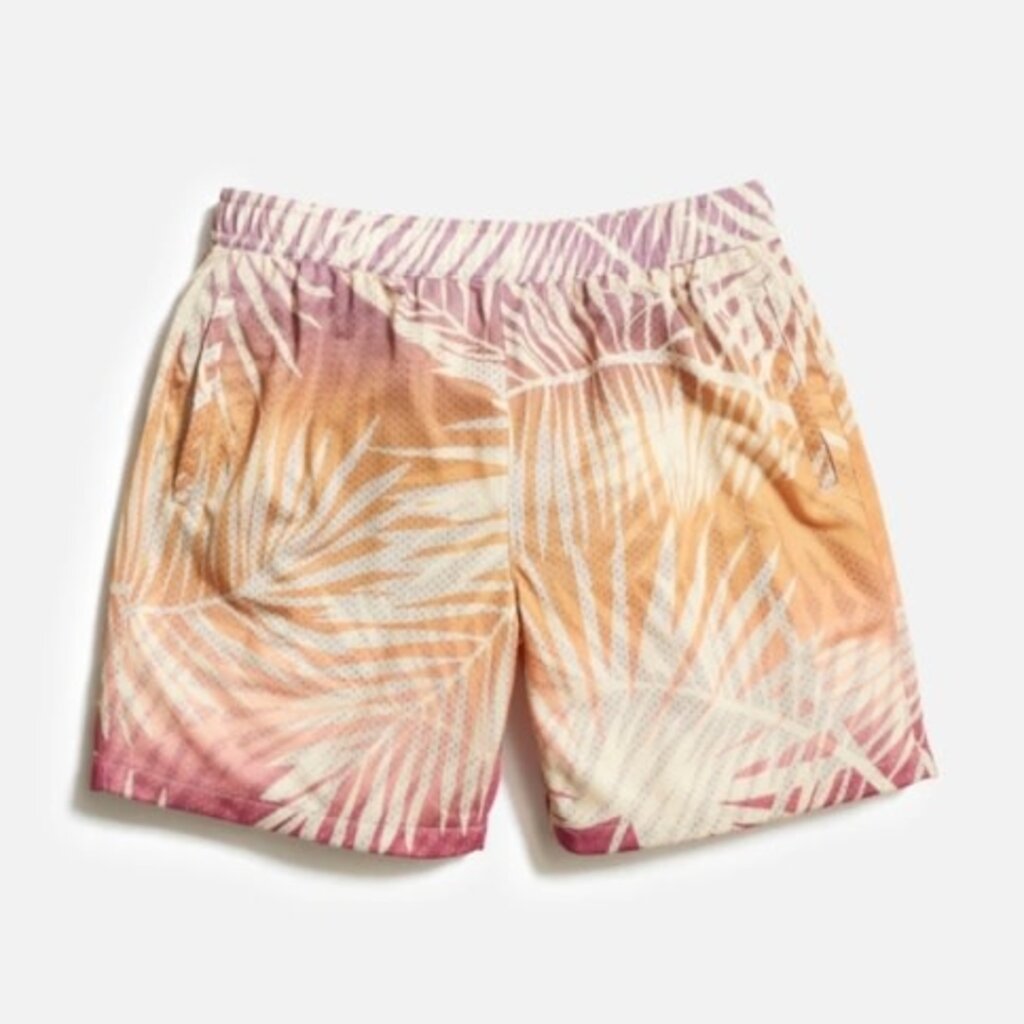 Marine Layer Printed Mesh Short 6"