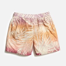 Marine Layer Printed Mesh Short 6"