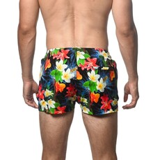Postmarc SP25 PM 6002 48