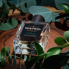 Mistral 100ml Cypress Oak Eau De Parfum