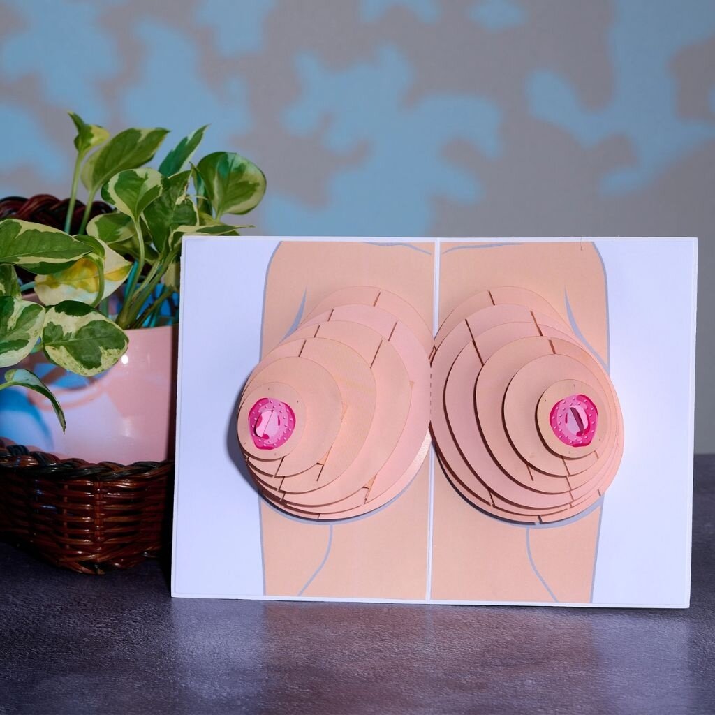 Dirty Pop Cards Naughty Knockers Funny 3D Pop-Up Boobs Greeting Card