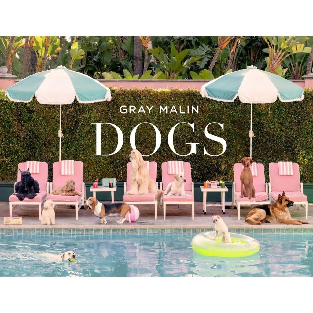 Abrams Dogs by Gray Malin