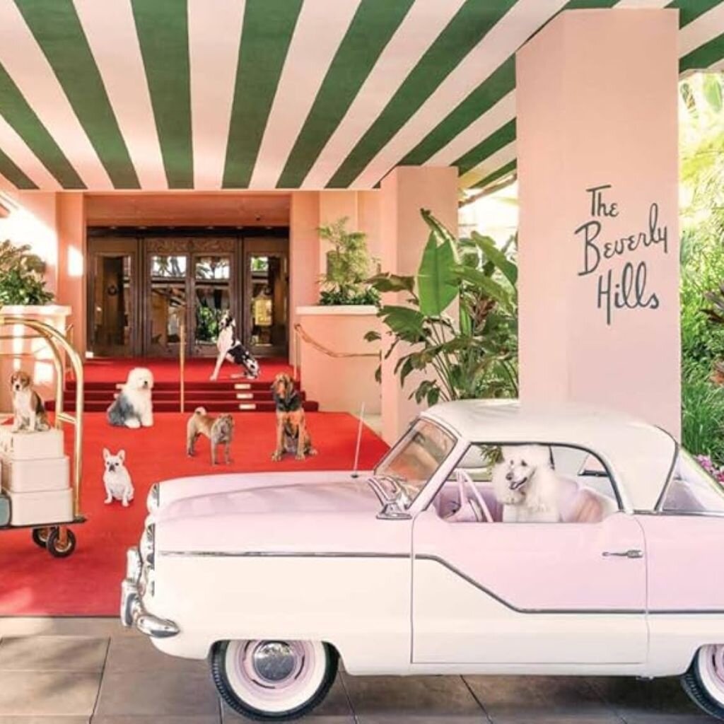 Abrams Dogs by Gray Malin