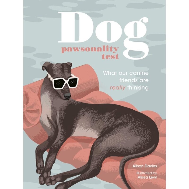 Hachette Dog Pawsonality Test Book