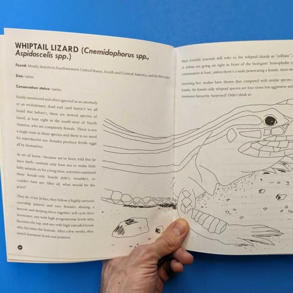 Microcosm Publishing & Distribution Queer Animals Coloring Book