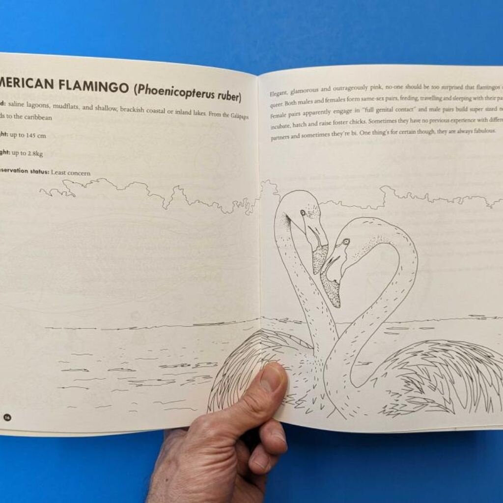 Microcosm Publishing & Distribution Queer Animals Coloring Book