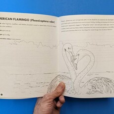 Microcosm Publishing & Distribution Queer Animals Coloring Book
