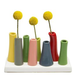 Chive Pooley Modern Bud Vase For Flowers Macaw