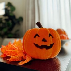 180 Degrees HLWN25 9in Flocked Jack O Lantern