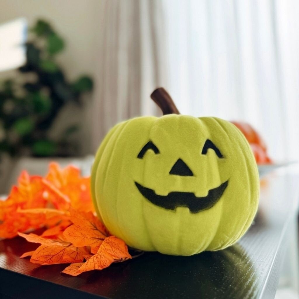 180 Degrees HLWN25 9in Flocked Jack O Lantern