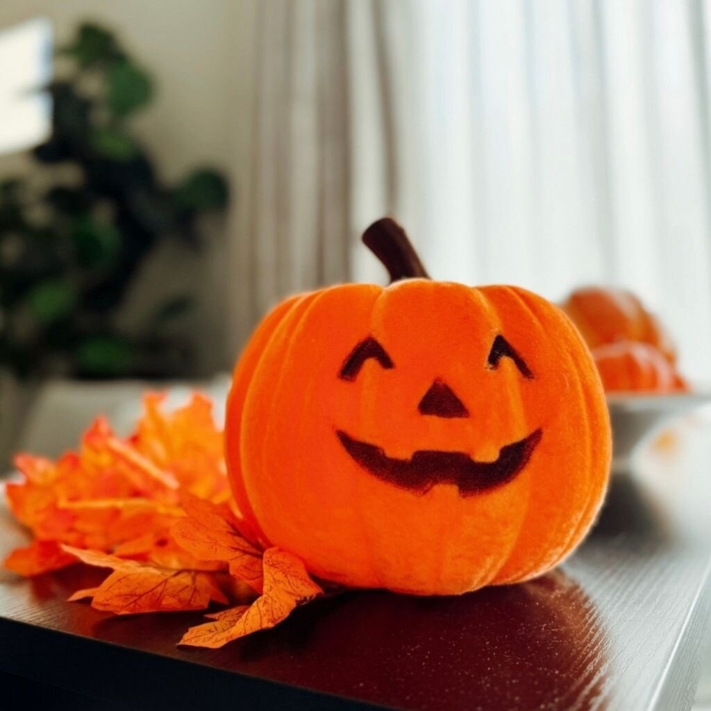 180 Degrees HLWN25 9in Flocked Jack O Lantern