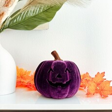 180 Degrees HLWN25 9in Flocked Jack O Lantern