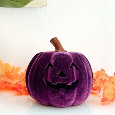 180 Degrees HLWN25 9in Flocked Jack O Lantern