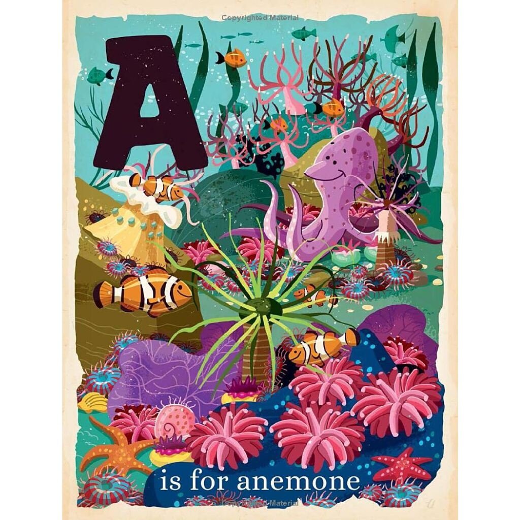 Gibb Smith O is for Ocean