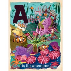 Gibb Smith O is for Ocean