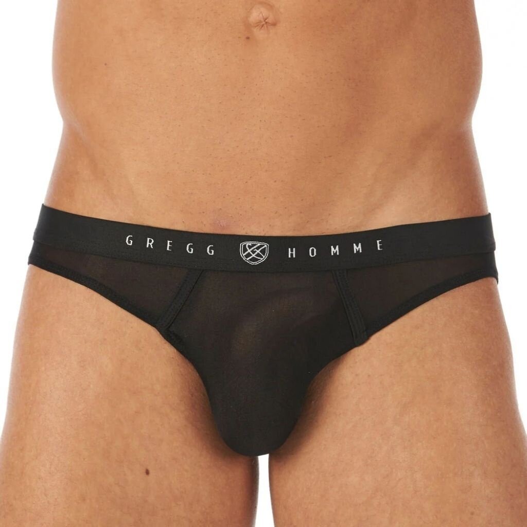 Gregg Homme Torridz Brief 87423
