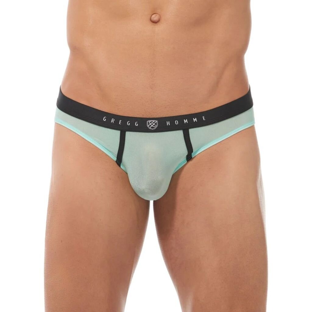 Gregg Homme Torridz Brief 87423