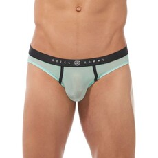 Gregg Homme Torridz Brief 87423