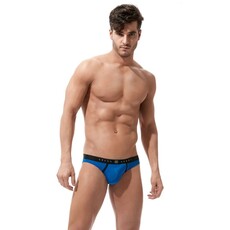 Gregg Homme Torridz Brief 87423