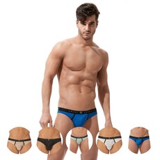Gregg Homme Torridz Brief 87423