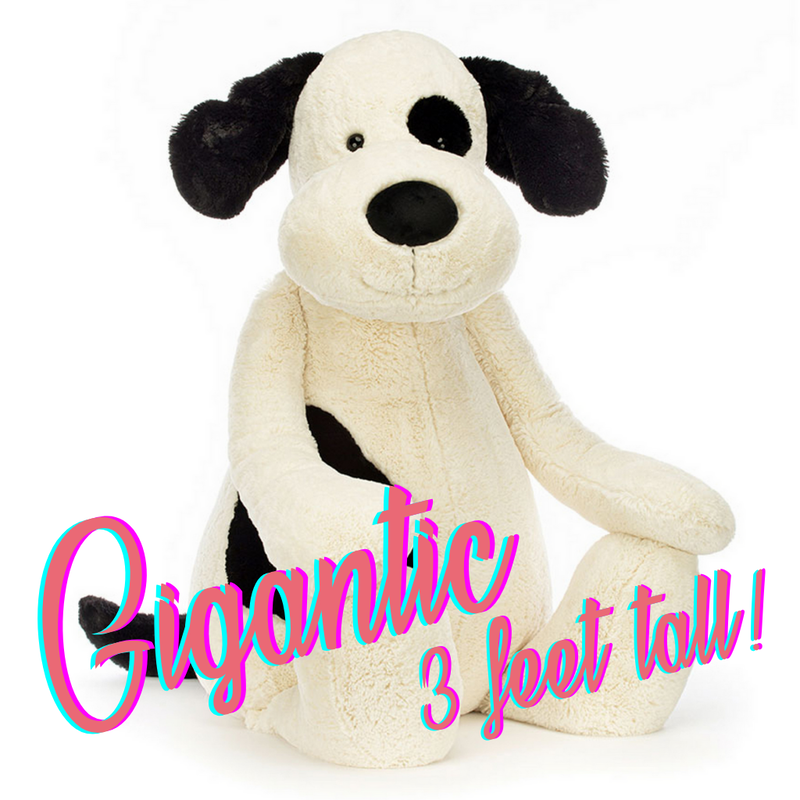 Jellycat Bashful Black And Cream Puppy