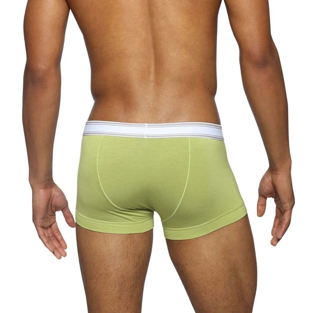 Parke & Ronen FL25 Retro Low Rise Trunk