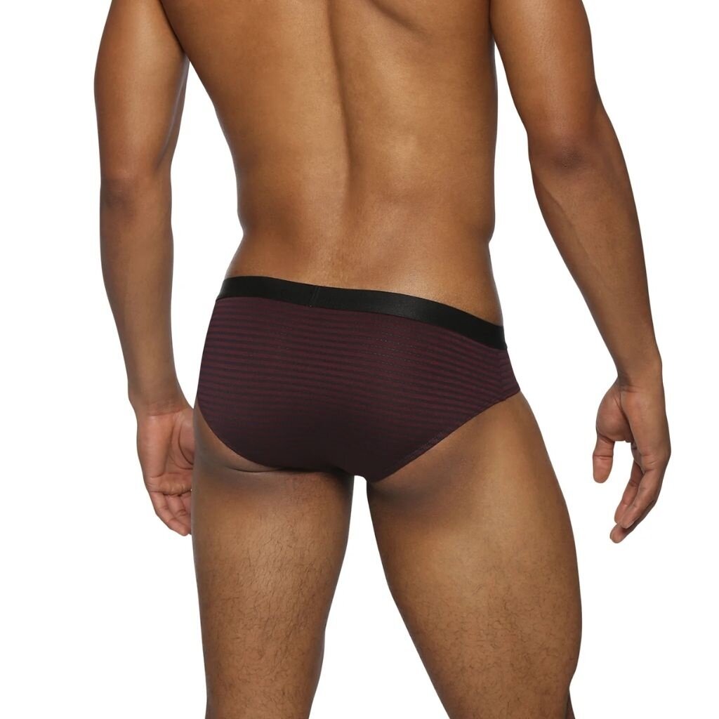 Parke & Ronen FL25 Vault Stripe Brief