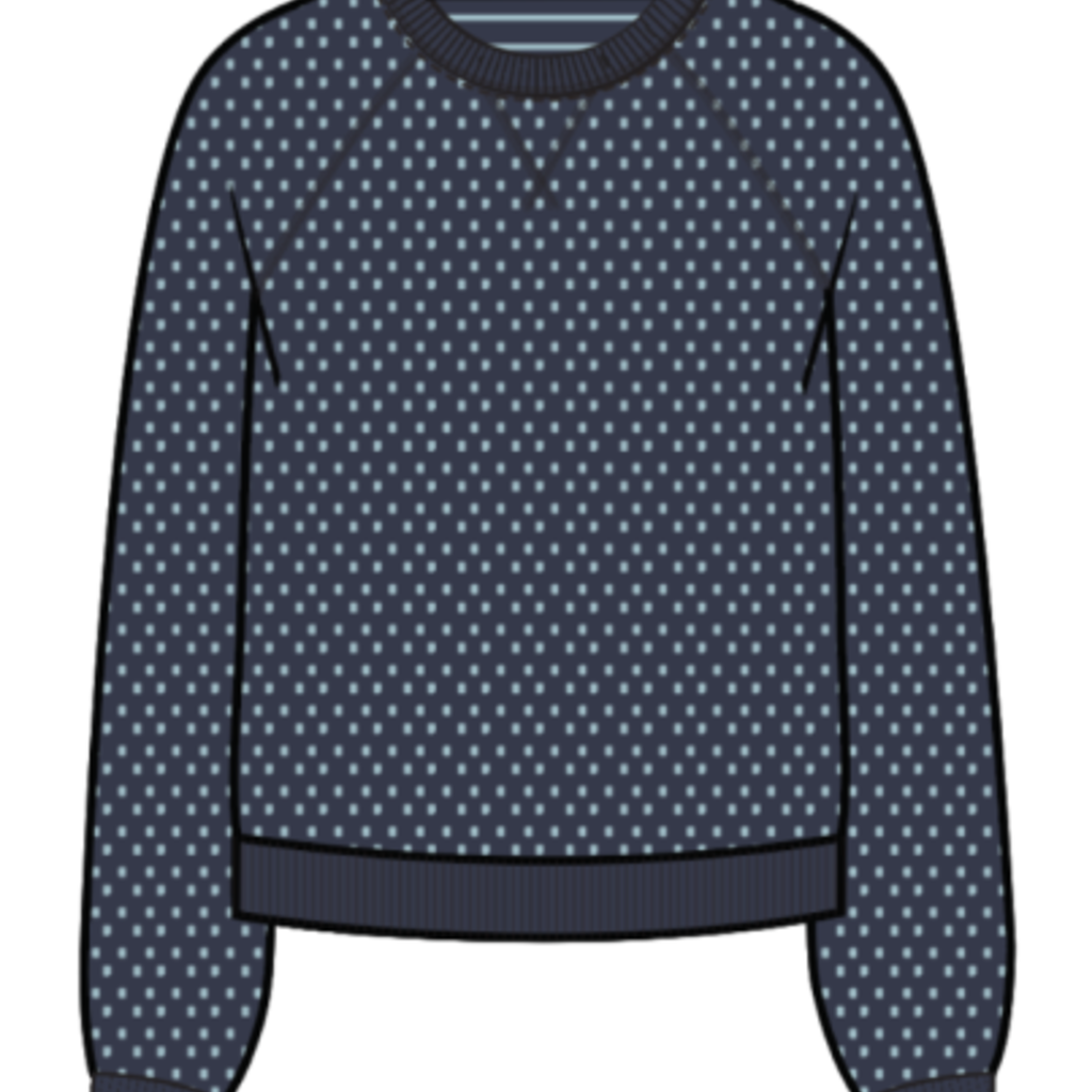 Marine Layer Reversible Raglan