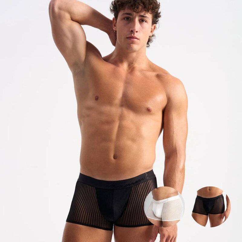 TeamM8 FL25 Casanova Trunk