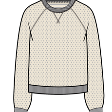 Marine Layer Reversible Raglan