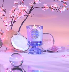 Voluspa Wicked Act II Cherry Blossom Bubble Boxed Candle 8.5oz Candle