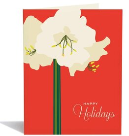 Snow & Graham Amarylis Holiday Card