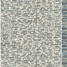 Marine Layer Reversible Raglan