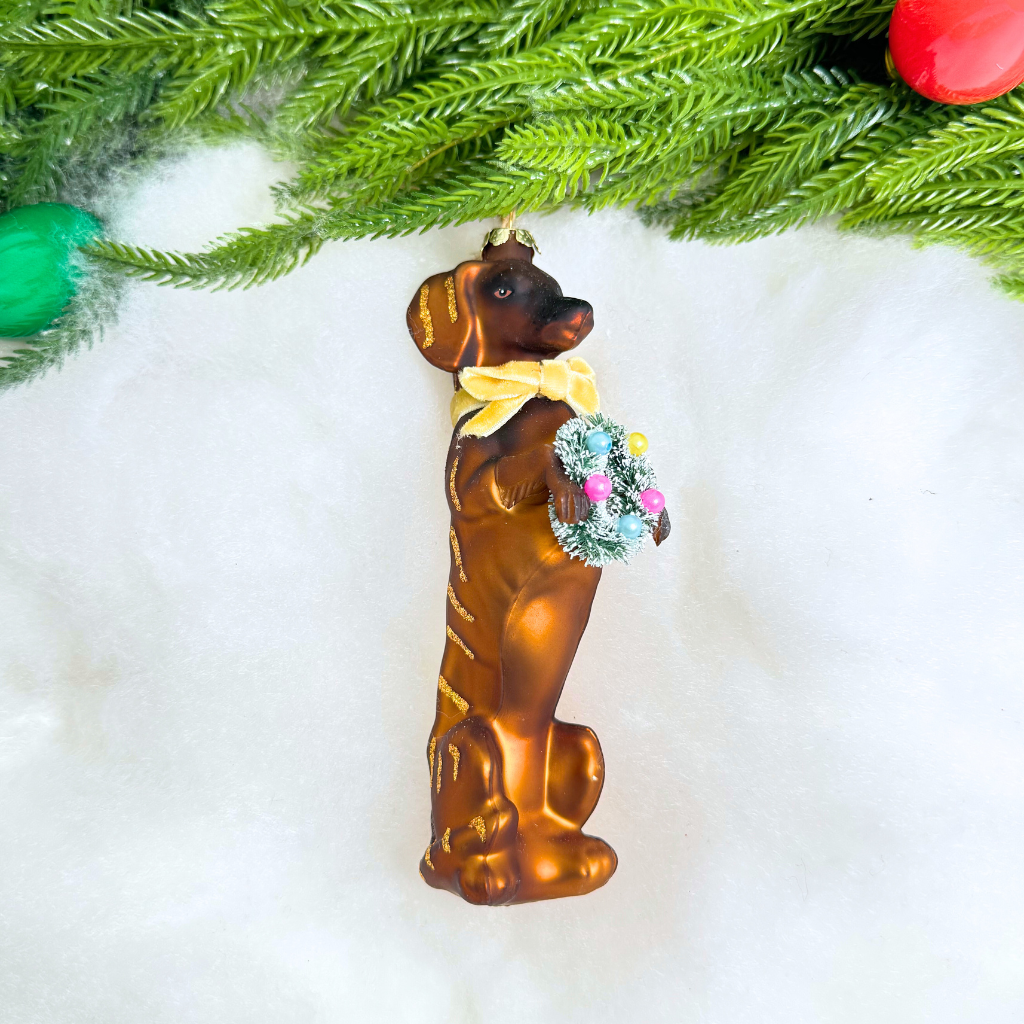 Cody Foster Festive Doxy Ornament
