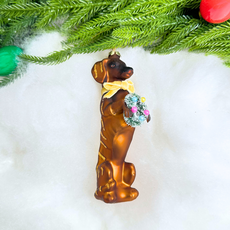 Cody Foster Festive Doxy Ornament