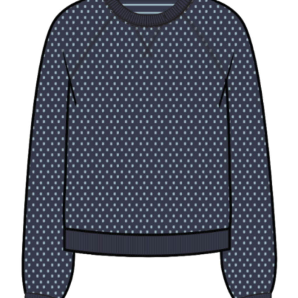 Marine Layer Reversible Raglan