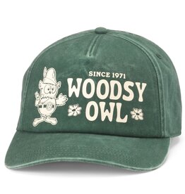 American Needle Walker Hat - Woodsy Owl