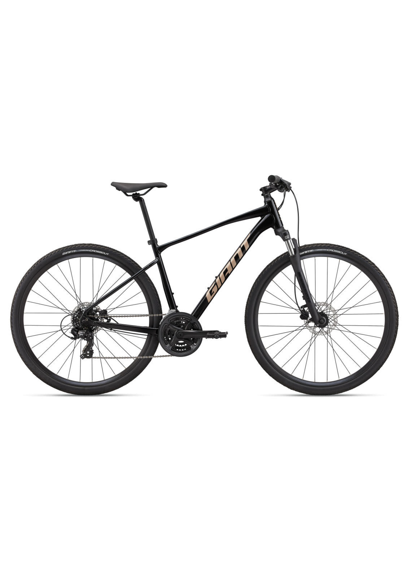 GIANT Giant Roam Disc 4 Bike