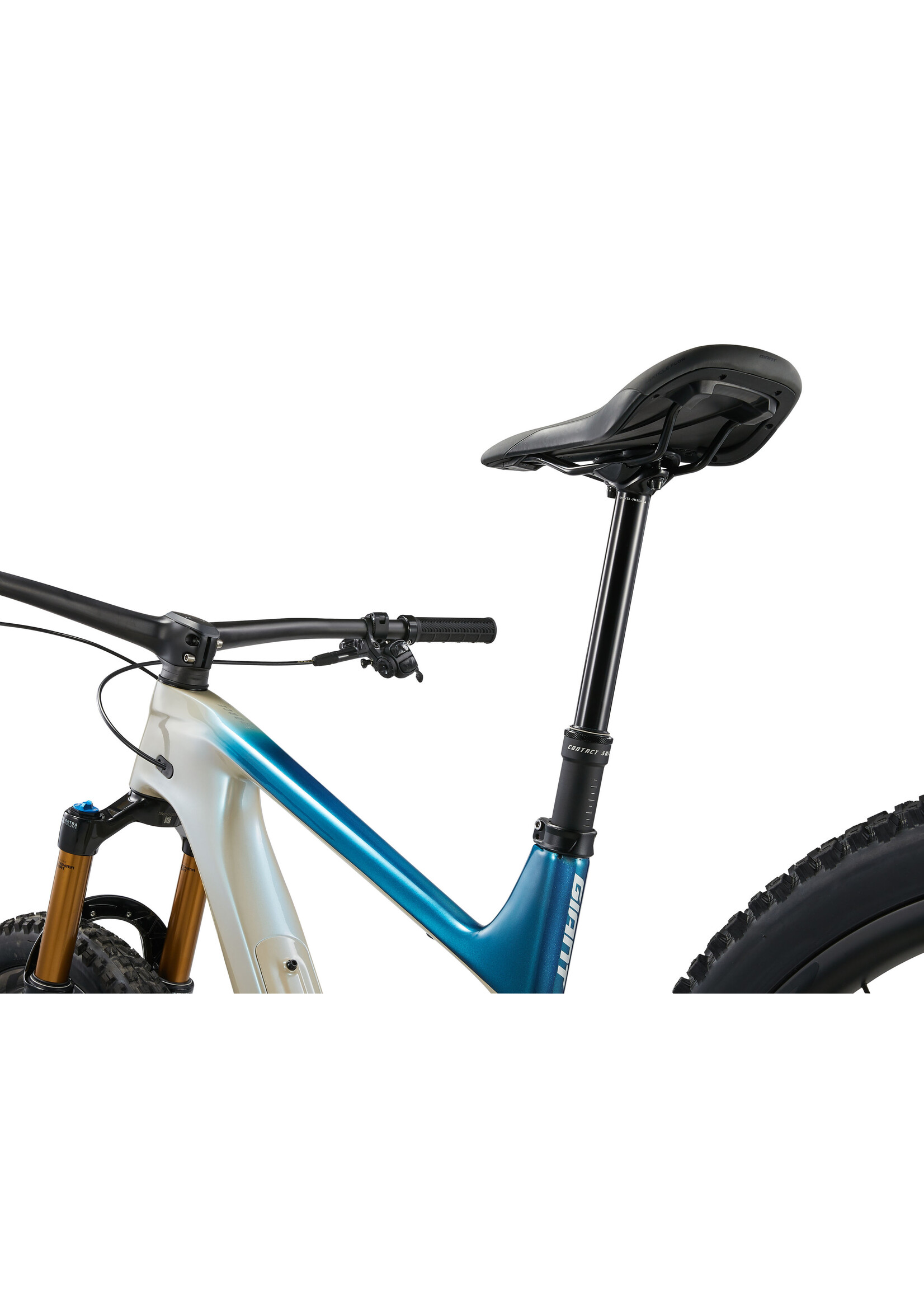 GIANT 2024 Giant Trance Advanced 29 0 Mountain Bike